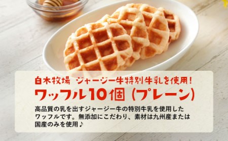 白木牧場 特別 牛乳 を使用した ワッフル ×10個（プレーンのみ）