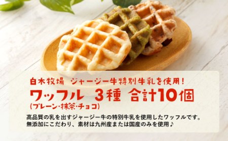 白木牧場 特別 牛乳 を使用した ワッフル ×10個 （ プレーン 、 抹茶 、 チョコ ） 