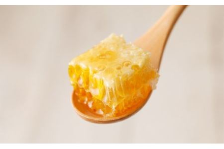 日本ミツバチ 巣蜜 約300g 和蜂巣蜜の ハチミツ