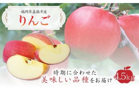 【10月上旬から順次発送】りんご 4.5kg 九州産 陽光 新世界 ふじ