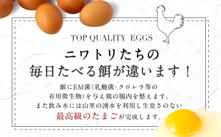 【3ヶ月定期便】鶏卵 30ヶ入×3回 合計90個 たまご  福岡県産
