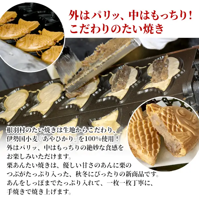 数量限定・大人気★栗のつぶつぶがたっぷり！ たい焼き 栗あん 6枚入り たい焼き 