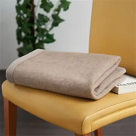 カシミヤ毛布　ひざ掛けサイズブランケット　70cm×100cm【1253542】