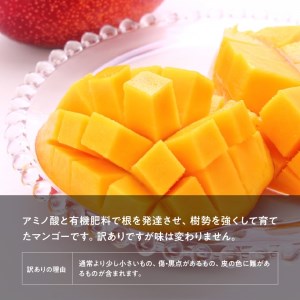 【令和9年発送】【宮崎県産】訳あり・ご自宅用　完熟マンゴー2玉 【 果物 フルーツ マンゴー 宮崎県産 みやざきマンゴー 訳あり 先行予約 数量限定 期間限定 】