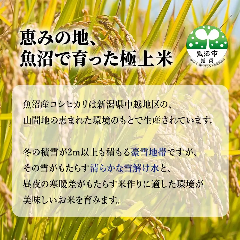 魚沼産 米 こだわりの食べ比べ セット 6kg【2kg×3】|コシヒカリ