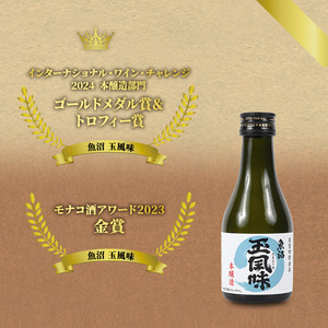 【IWC2024 ゴールドメダル&トロフィー受賞酒】魚沼 玉風味 180ml×24本 1ケース セット お酒 日本酒 本醸造酒 
