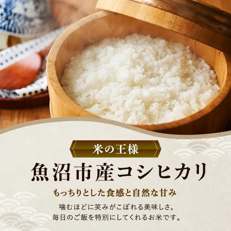雪室貯蔵 魚沼産 コシヒカリ 無洗米 2.5kg 6ヶ月 連続お届け （ 米 定期便 こしひかり 定期 新潟 魚沼 魚沼産コシヒカリ 魚沼産こしひかり お楽しみ 6回 ） 新潟県 