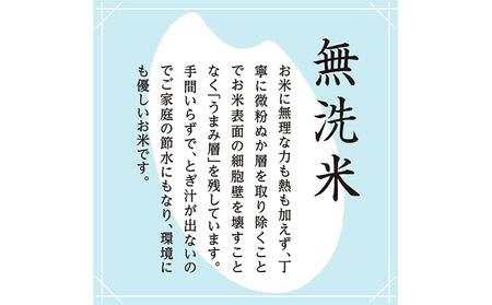 令和7年産 雪室貯蔵 魚沼産コシヒカリ無洗米5kg(2.5kg×2) お米 