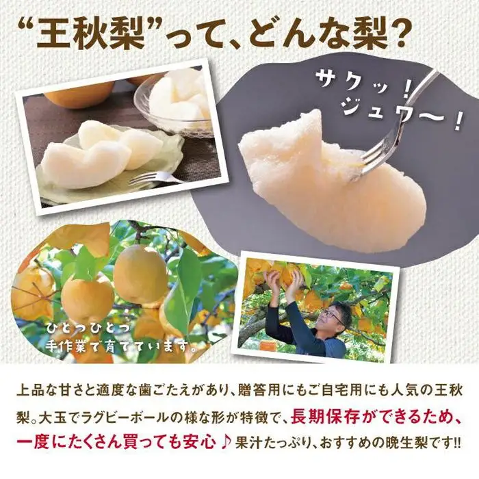 訳あり 王秋梨 3kg【やぶやフルーツガーデン】