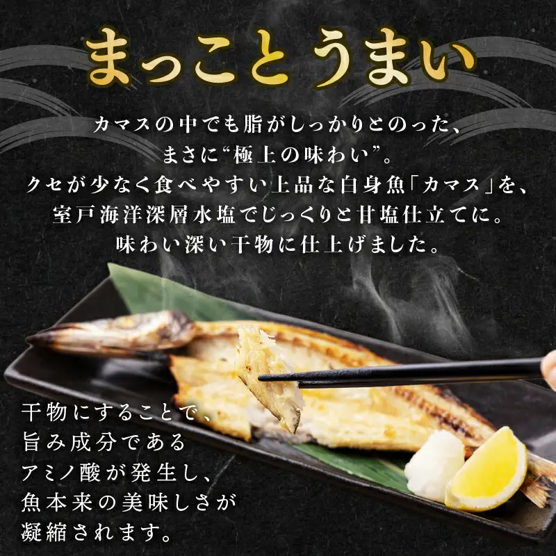 カマス 干物 8枚 国産 カマス