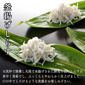 釜揚げしらす しらす干し 約 3.5kg 小分け 24パック セット (各12パック)  しらす _AG027