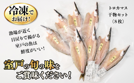 【定期便】いずま海産のトロカマス干物8枚頒布会【3回お届け】干物