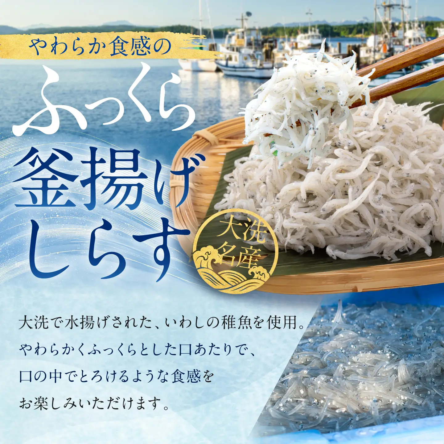 釜揚げしらす 12パック 約 2kg )  しらす 釜揚げしらす_AG028