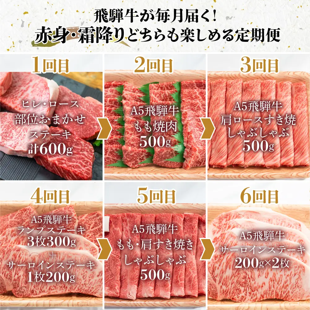 【定期便 6ヶ月】＜全6回＞飛騨牛 食べ比べ（ステーキ／焼肉／すき焼き／しゃぶしゃぶ）|  定期便 BV104