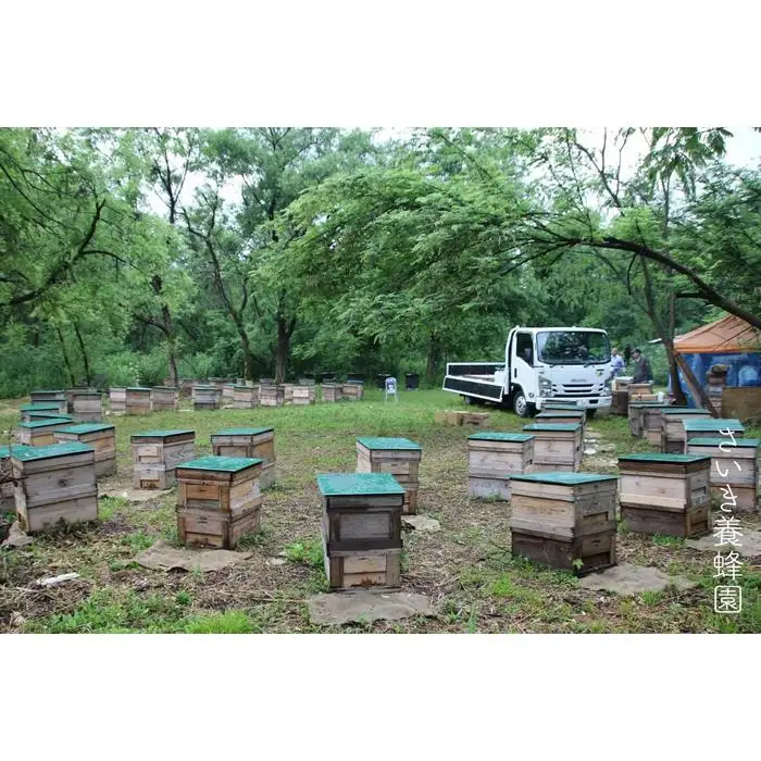 さいき養蜂園　非加熱蜂蜜　アカシア１Kg×２本【ハチミツ 蜂蜜 ハニー 非加熱 セット あかしあ 1kg 健康食品 国産 保存 備蓄 防災 非常食 常温】