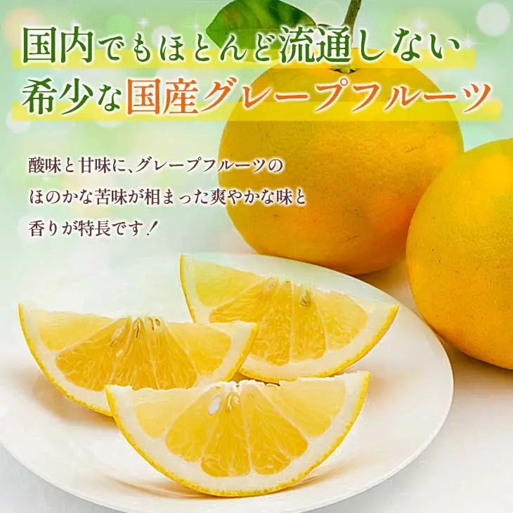 【ふるなび限定】★テレビで紹介された★ 先行予約 数量限定 グレープフルーツ 月夜実 白 つくよみ 計4kg以上_BB122-23