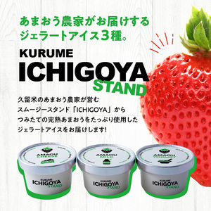 【ICHIGOYA】福岡県産 完熟あまおう ジェラート(アイス) 3種×2個(計6個) レアチーズ！ミルク！ヨーグルト！_ICHIGOYA 福岡県産 完熟 あまおう ジェラート アイス 3種 × 2個 計 6個 レアチーズ ミルク ヨーグルト セット デザート カップアイス アイスクリーム 冷凍 お取り寄せ お取り寄せスイーツ 福岡県 久留米市 送料無料 〔Dw016〕