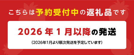 福岡県産 冷凍あまおう 摘みたて 1,500g(500g×3パック)_福岡県産 冷凍 あまおう 摘みたて 1,500g 500g × 3パック デザート 果物 いちご いちごの王様 冷凍いちご 食べ方いろいろ ヨーグルト アイス ジャム シャーベット スムージー ケーキ ドリンク お取り寄せ お取り寄せスイーツ 福岡県 久留米市 送料無料 〔Fi036〕