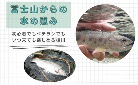 【令和9年度】都留漁業協同組合年間遊漁証（全魚種）｜桂川 フィッシング 渓流釣り アングラー スーパーレインボー マス釣り ヤマメ釣り イワナ釣り