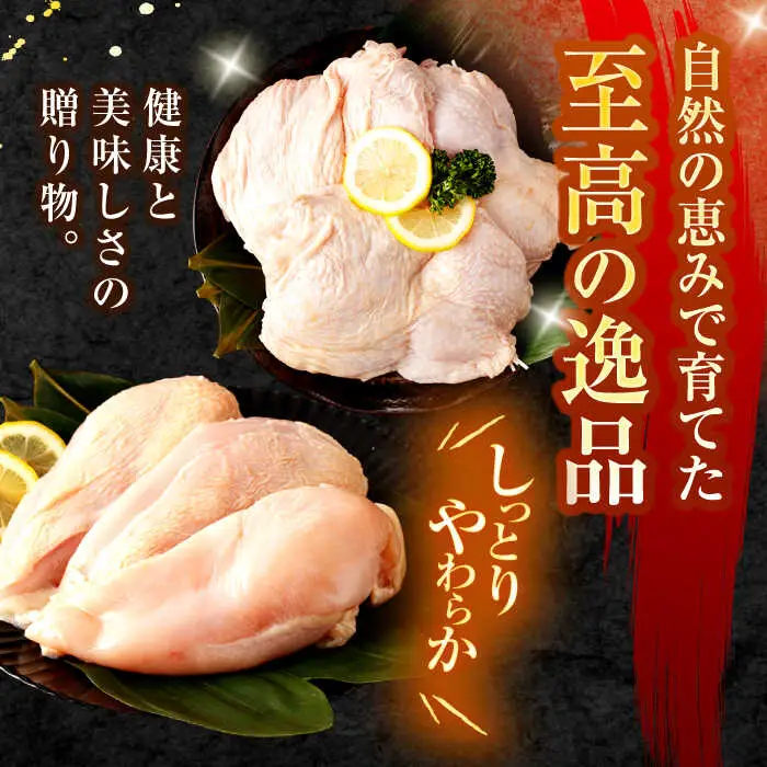 【長崎県産】長崎夢みどり(鶏もも肉1kg×2P、むね肉1kg×2P・4kgセット) / 鶏肉 もも もも肉 むね むね肉 / 諫早市 / 西日本フード株式会社 [AHAV001] 