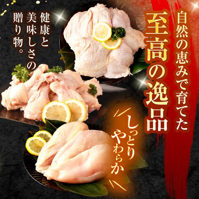 【長崎県産】長崎夢みどり鶏もも肉1kg×3P・むね肉1kg×2P・手羽元1kg×3P8kgセット / 鶏肉 もも もも肉 むね むね肉 手羽 手羽元 / 諫早市 /西日本フード株式会社 [AHAV003] 