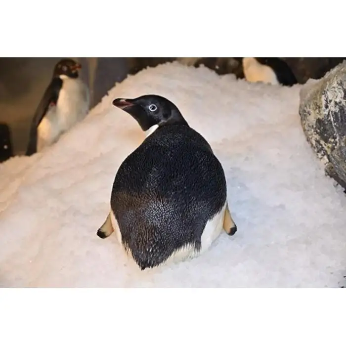 名古屋港水族館オリジナル御朱印帳（水族館大人入館券付き）