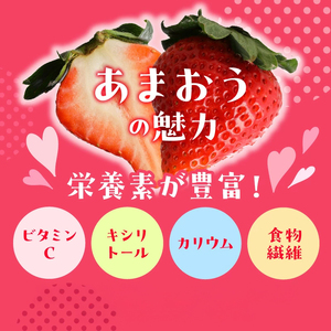 【あまおう年間定期便(年12回)】福岡県産 冬はあまおう！夏はジェラート(アイス)！年中あまおうの美味しさをお届けします！！_いちご 定期便 年12回 あまおう 280g × 4パック オリジナル 完熟あまおう ジェラート 85ml × 6個 各 6回 高級ブランドいちご フルーツサンド アイス レアチーズ ミルク ヨーグルト 3種類 冷凍 フルーツ お取り寄せ 福岡県 久留米市 送料無料 〔Dw017〕