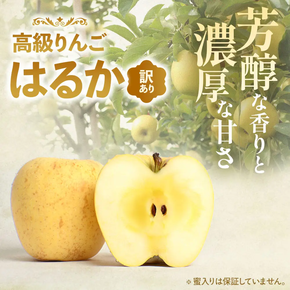 【ふるなびWEEK対象】【訳あり】 青森県産りんご はるか 約5kg 12月上旬～ りんご