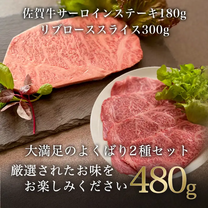 厳選佐賀牛 サーロインステーキ180g リブローススライス300g 2種(合計480g)セット ステーキ