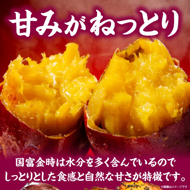 蜜芋 国富金時セット (蜜芋400g×10＋干し芋150g×6) さつまいも 焼き芋 やきいも 干し芋 ほしいも スイーツ 甘い 真空パック 蜜芋 デザート セット ご褒美 おやつ お取り寄せ 贈り物 ギフト プレゼント