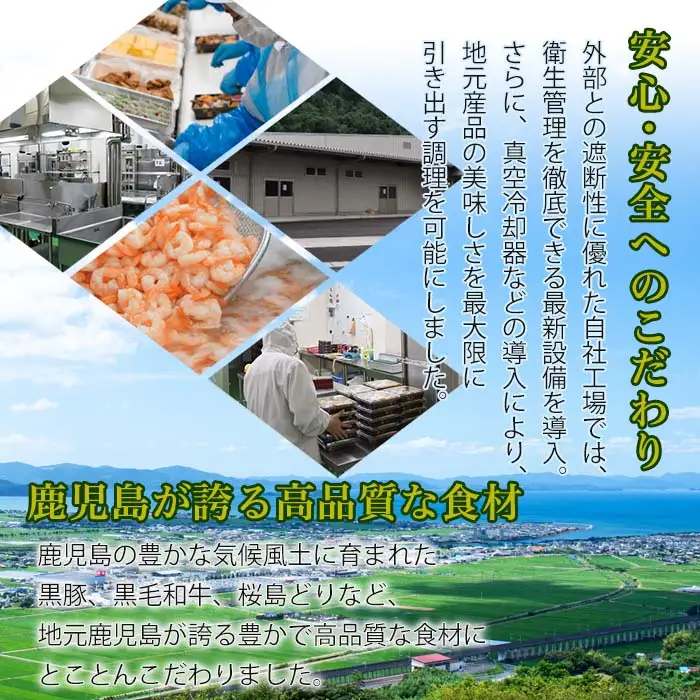 i554 冷凍駅弁九州よくばりセット(4種・4個セット) 駅弁 お弁当 九州 黒豚 角煮 牛ハラミ 焼肉 カルビ 焼肉 佐賀牛 焼肉 博多 かしわめし 食べ比べ セット 冷凍 お昼ご飯 晩御飯【松栄軒】