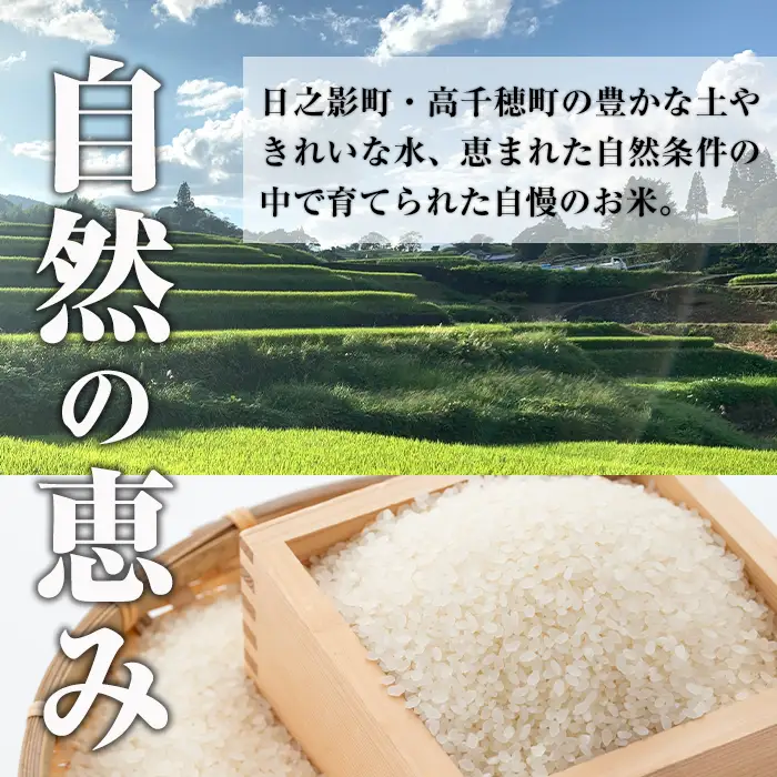 ＜ 令和7年産＞神々の里 高千穂郷ひのひかり(計10kg・5kg×2袋)【NK006】【宮崎県農業協同組合　高千穂地区本部】