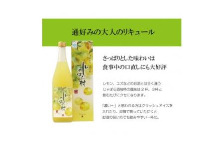 じゃばらのお酒 じゃばら村 720ml×2本（芳醇タイプ） 【njb441】