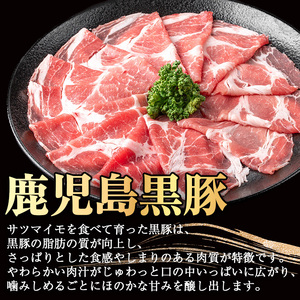 鹿児島 黒毛和牛 黒豚 しゃぶしゃぶ セット (300g×2P・計600g) たれ付き 牛肉 豚肉 国産【ナンチク】A1-v01