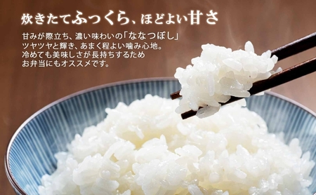 ななつぼし 無洗米 特A 北海道産 ななつぼし【5kg】【定期便 6ヶ月連続6回】