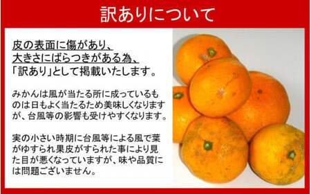 【訳あり】岸田果樹園「温故蜜柑」約3.5kg_1658R