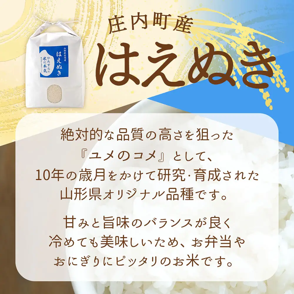 渡會さんのうまい米！はえぬき 10kg 5kg×2袋 令和7年産 2025年産 ブランド米 コシヒカリの原点、亀の尾発祥の地 庄内【1028-023I】