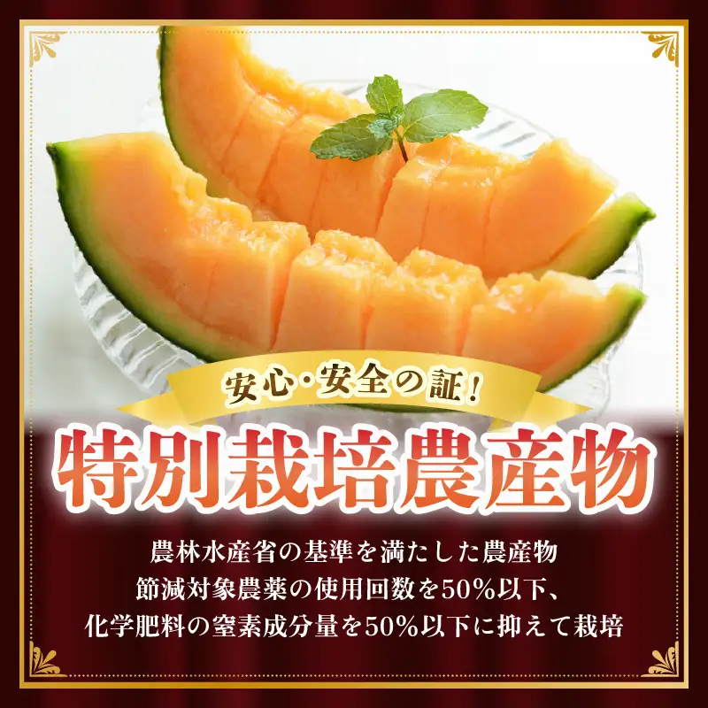 【先行予約】マルセイユメロン 3～5玉入「ユメマル」5kg《とろけるような食感！》／ 果物 フルーツ 赤肉 メロン 濃厚 果肉 産地直送 あわら 大賞 受賞  ※2027年6月中旬より順次発送 [aw012-a025]