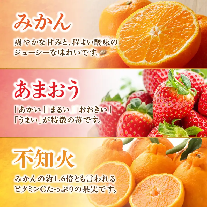 九州･福岡からお届け！八女の恵み定期便【全5回】B ＜配送不可：北海道・沖縄・離島＞ フルーツ 定期便 あまおう みかん 不知火 シャインマスカット 果物 おすすめ セット 産地直送 福岡県 八女市 072-T033