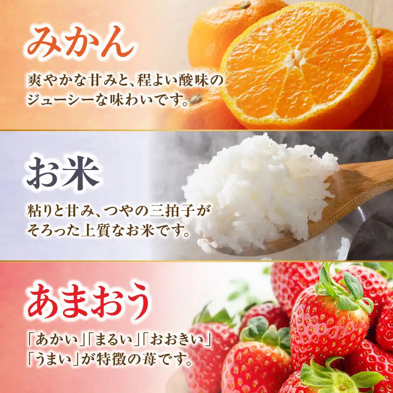 九州･福岡からお届け！八女の恵み定期便【全3回】B ＜配送不可：北海道・沖縄・離島＞ フルーツ 定期便 あまおう みかん お米 果物 おすすめ セット 産地直送 福岡県 八女市 072-T035