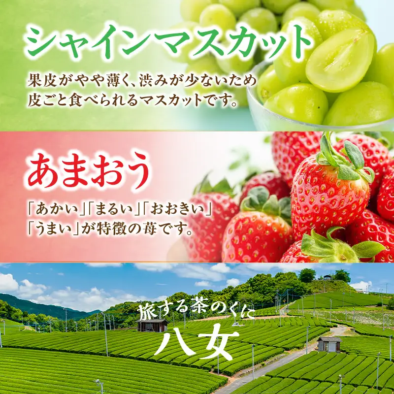 九州・福岡フルーツ王国八女 お試し旬のフルーツ定期便【全2回】B ＜配送不可：北海道・沖縄・離島＞ フルーツ 定期便 あまおう シャインマスカット 季節のフルーツ 果物 おすすめ セット 産地直送 福岡県 八女市 072-T016