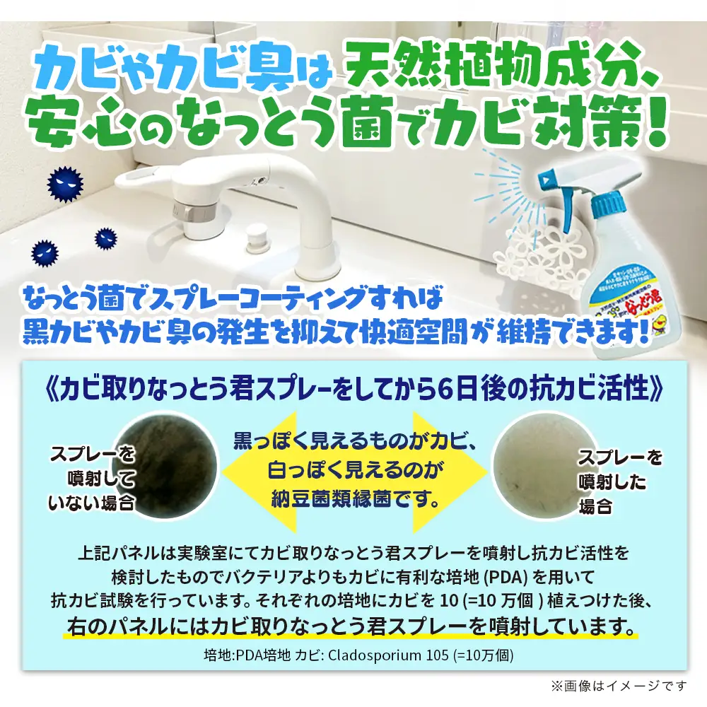 カビ取りなっとう君スプレー３本セット 防カビ 消臭 072-009