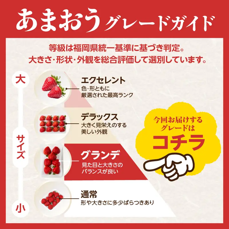 【先行受付：2027年2月発送開始】博多あまおうＧ250g×4パック｜JAふくおか八女 あまおう いちご 苺 イチゴ フルーツ 果物 くだもの 人気 旬 福岡県産 大粒 アフター補償 数量限定 期間限定 産地直送 グランデ 福岡県 八女市 002-003