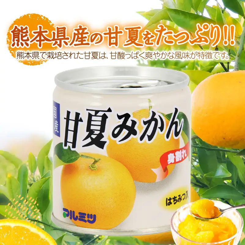 甘夏みかん 缶詰 24缶入り（身割れ） 007-012