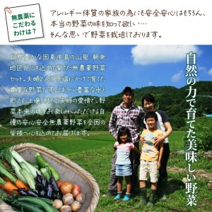 まるかの無農薬野菜詰合せ M_1877R