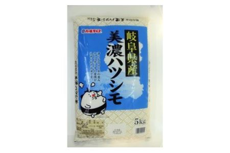 【9033】美濃ハツシモ5kg　令和４年度産
