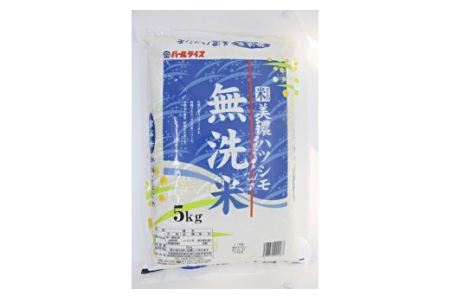 【9036】美濃ハツシモ無洗米5kg　令和４年度産