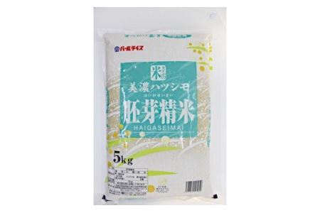 【10097】美濃ハツシモ胚芽精米5kg　令和４年度産