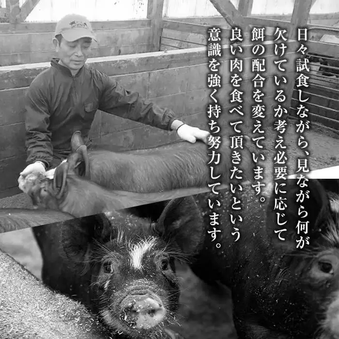 A-193 鹿児島黒豚しゃぶしゃぶセット合計800g(400g×2パック)【米平種豚場ふくふく黒豚の里】しゃぶしゃぶ 黒豚 しゃぶしゃぶ肉 しゃぶしゃぶ 豚 豚肉 しゃぶしゃぶセット 豚肩ロース 霧島市