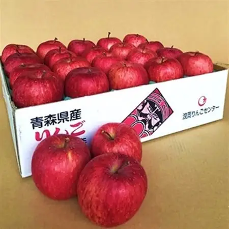 JA青森　青森県産りんご「サンふじ」約5kg_果物・フルーツ りんご  リンゴ 林檎_【配送不可地域：離島】【1127895】